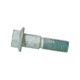 ZESKANTBOUT M14X1,5X50X19-10,9